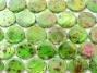 Bright Green 20mm Speckled AB Shell Coin